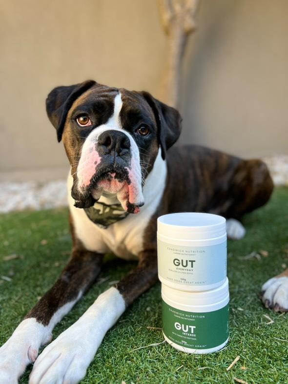 Why Gut Health is the First Place to Start...