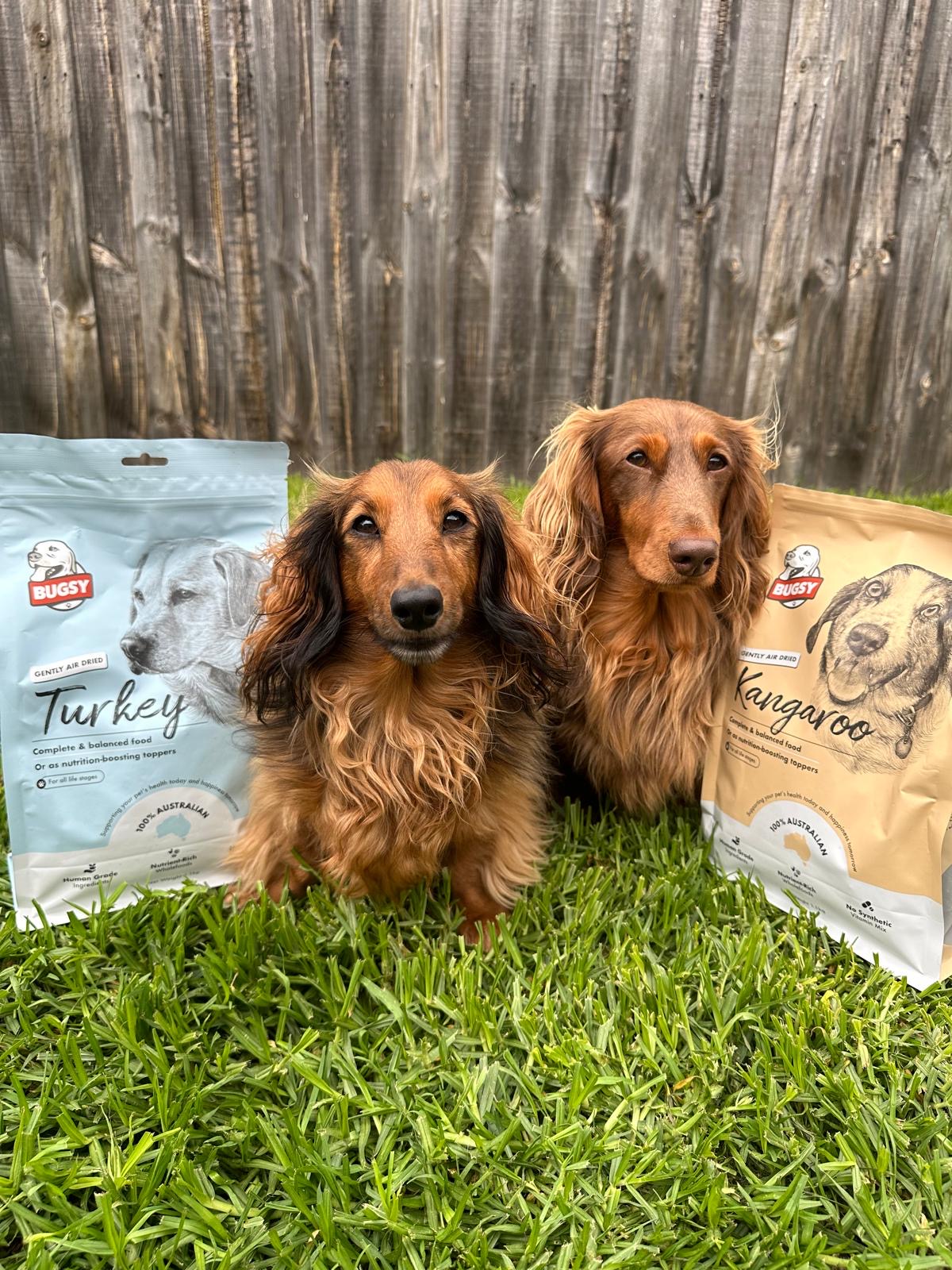 Air-Dried Dog Foods: A side-by-side comparison (and my top pick!)