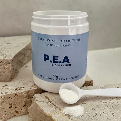 Understanding P.E.A and Bovine Collagen (and why your dog needs it!)