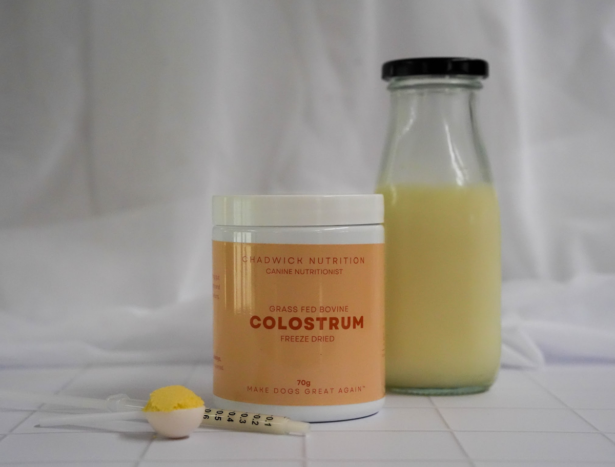 Colostrum for Dogs: What to look for and why quality matters