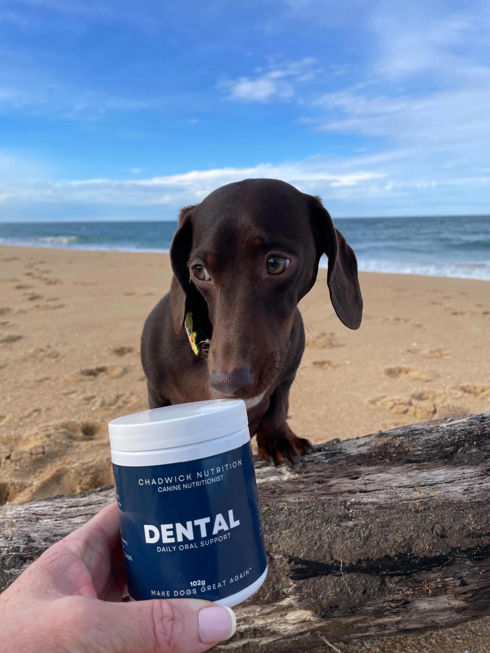 Dental - Daily support for healthier teeth, gums and fresher breath.