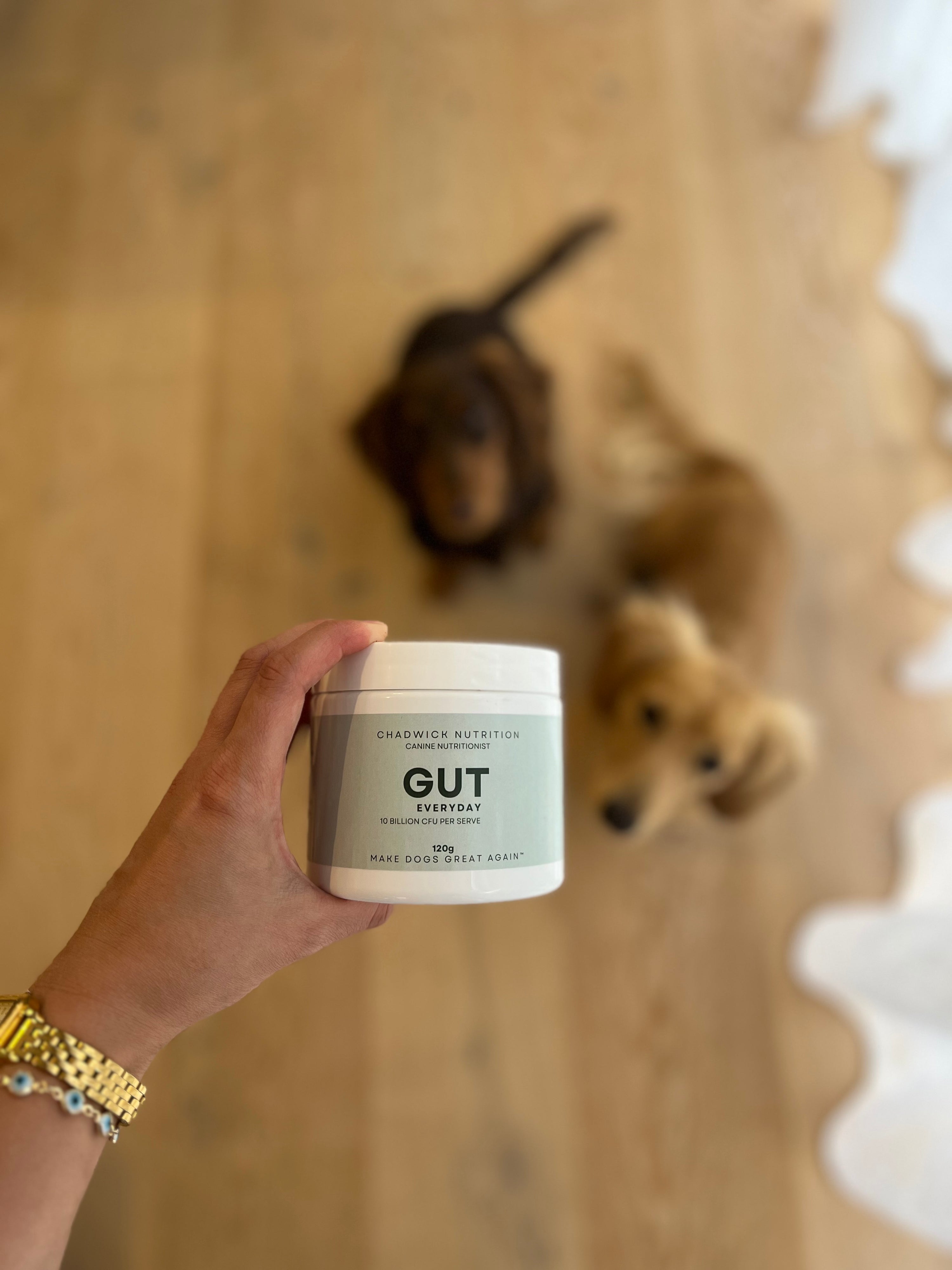 Gut Repair Duo (Step 1 + Step 2).