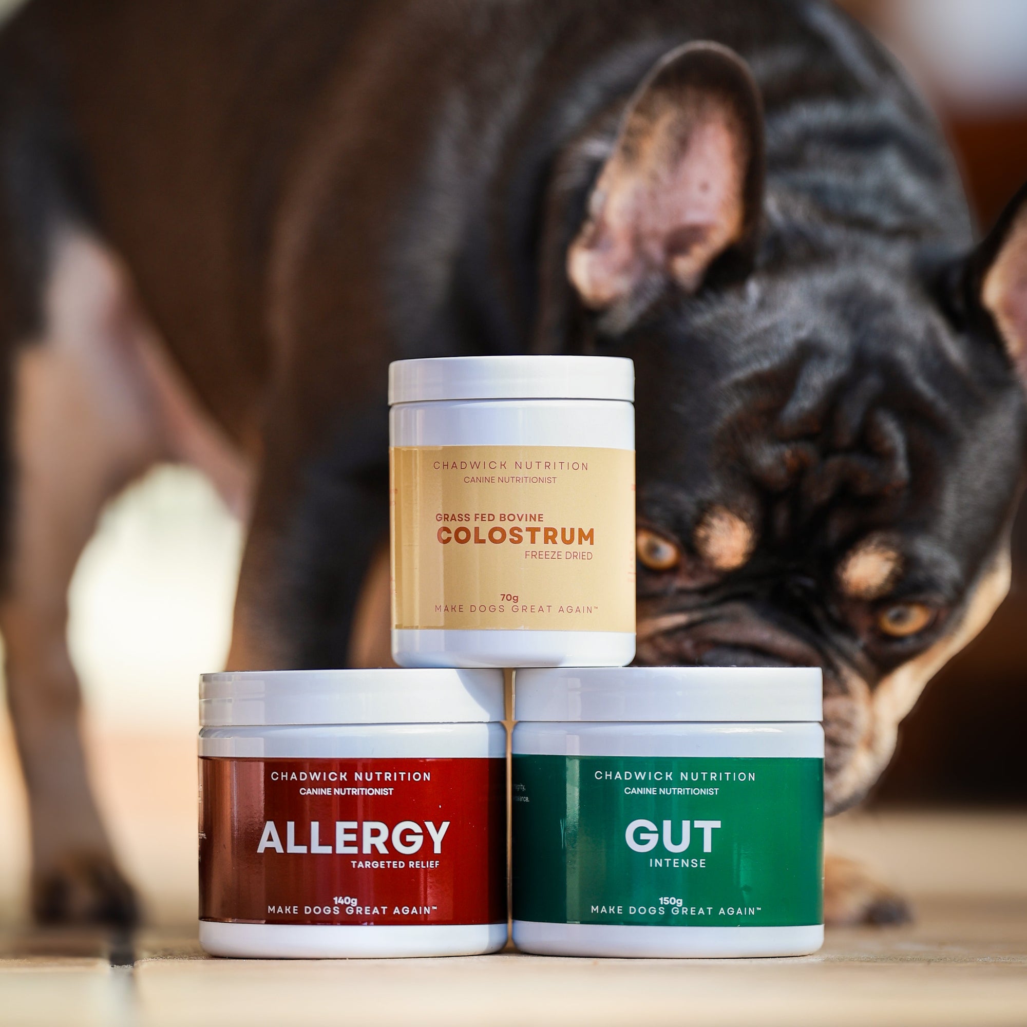 The Complete Allergy System For Dogs.