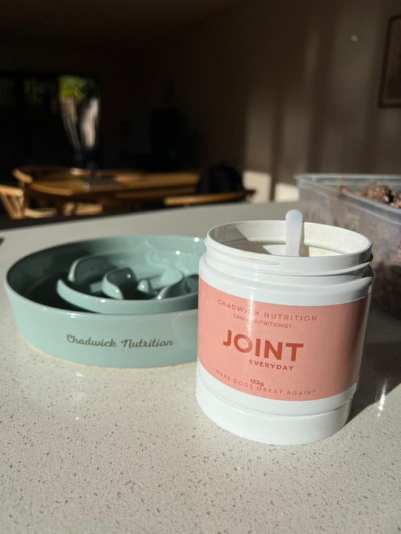 Joint Everyday - Daily Joint Health Support for Dogs.