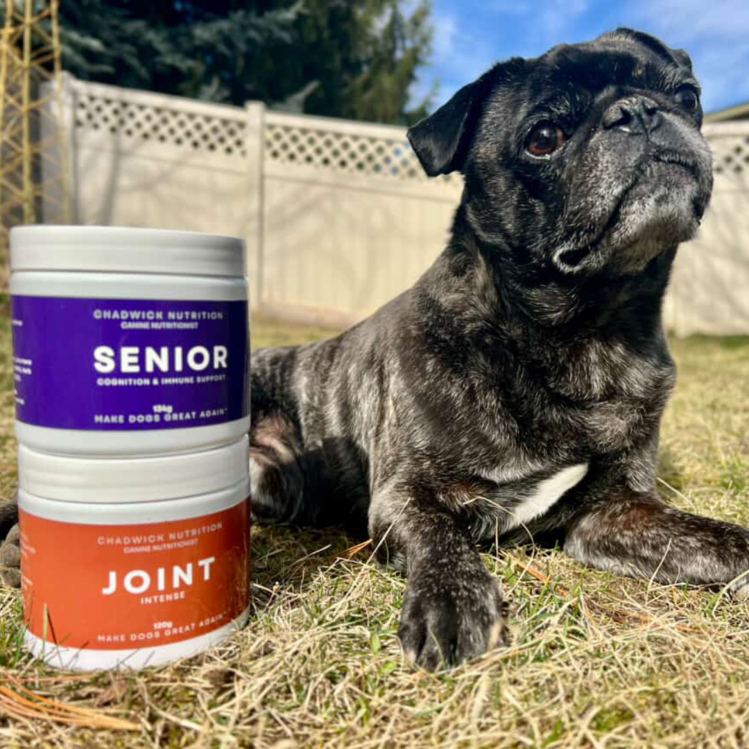 Senior Resilience Bundle - Targeted support for strength, mobility and longevity.
