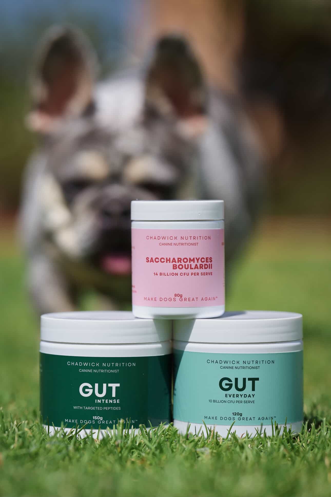 The 3-Step Gut System For Dogs.