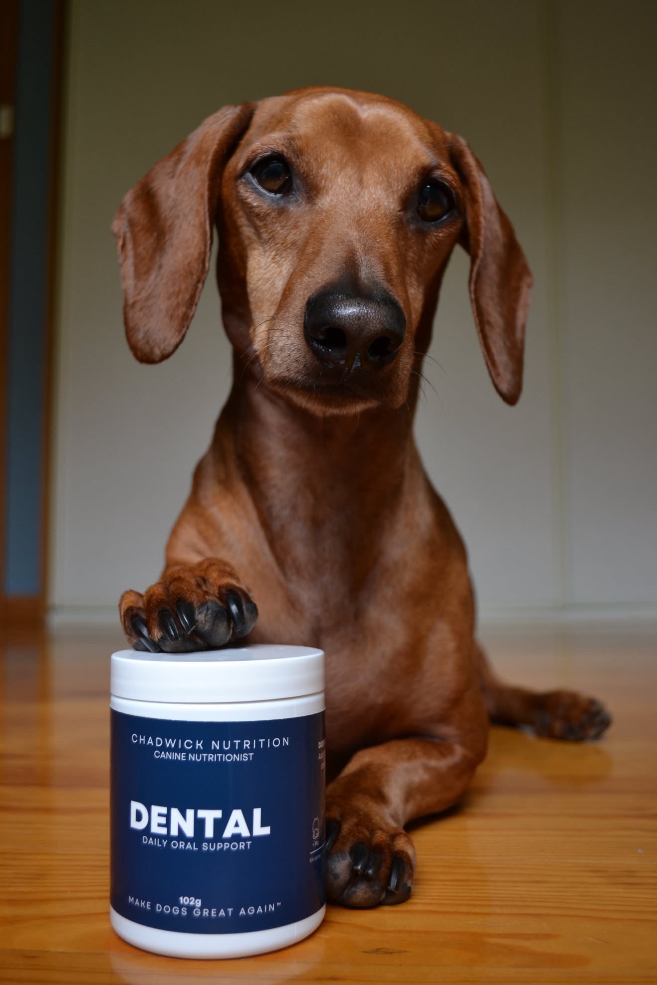Dental - Daily support for healthier teeth, gums and fresher breath.
