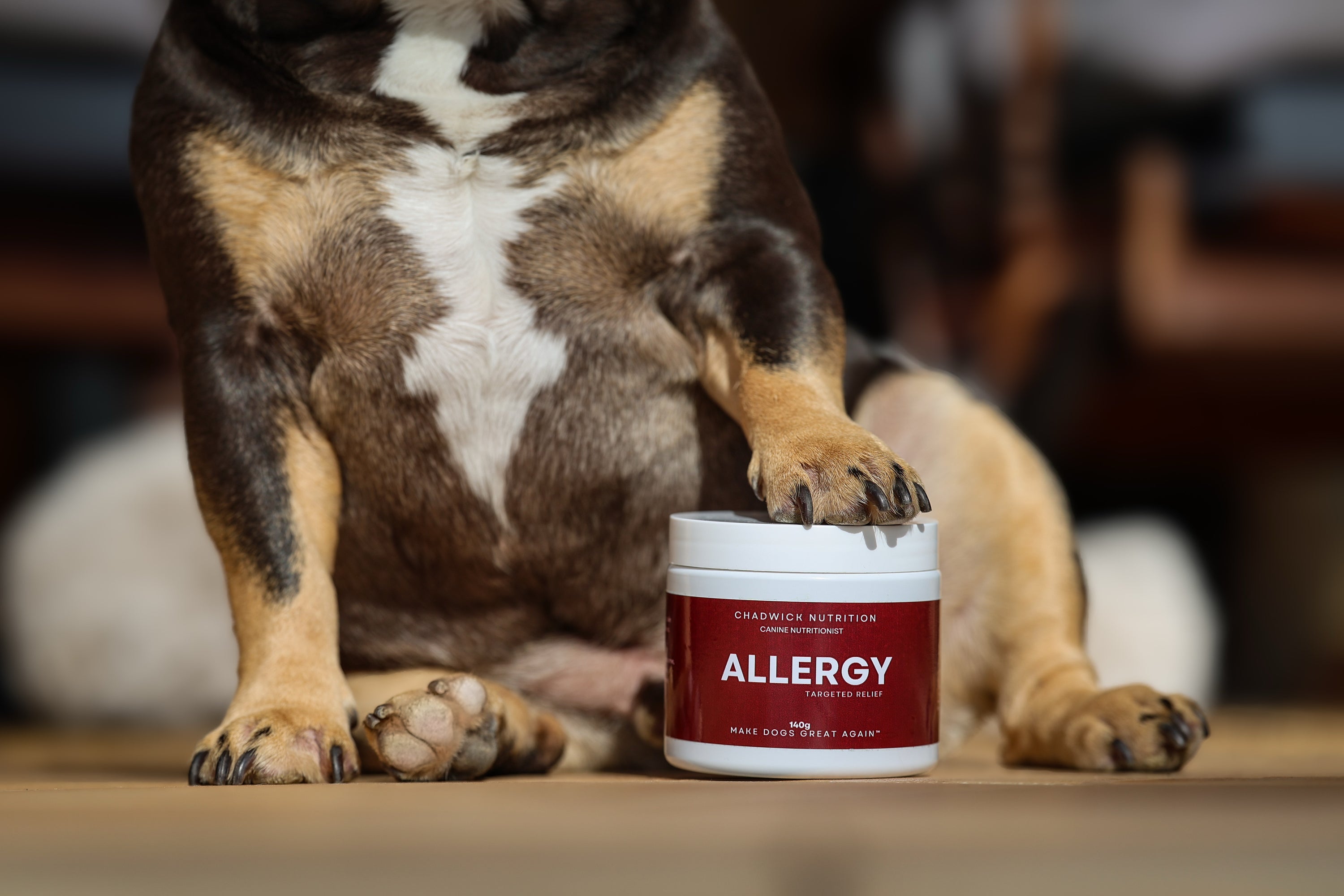 Dog with a Chadwick Nutrition Allergy Supplement container labeled on a wooden surface