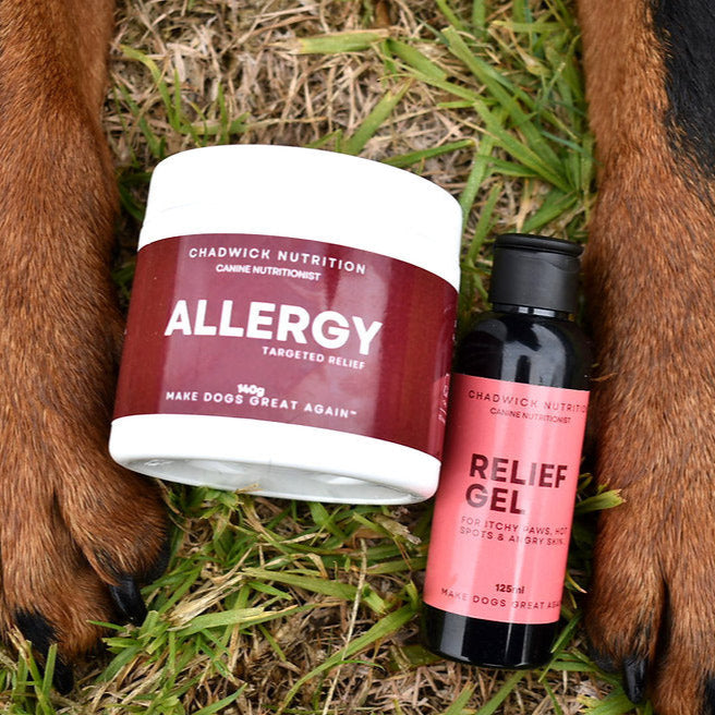 Two allergy support pet care products, a jar labeled 'Allergy' and a bottle labeled 'Relief Gel', on grass with a dog's paws.