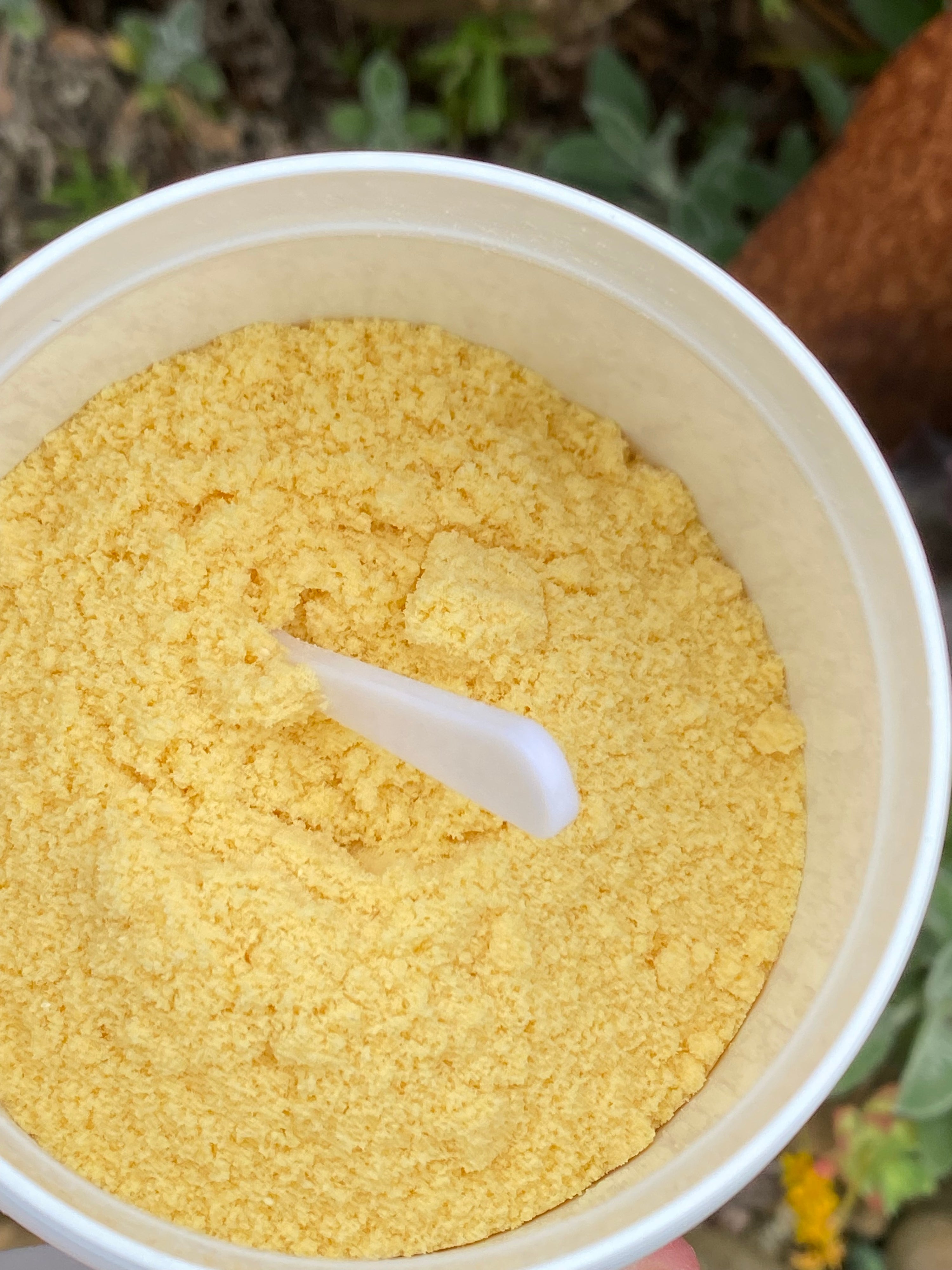 Freeze Dried Bovine Colostrum - Immune Support.