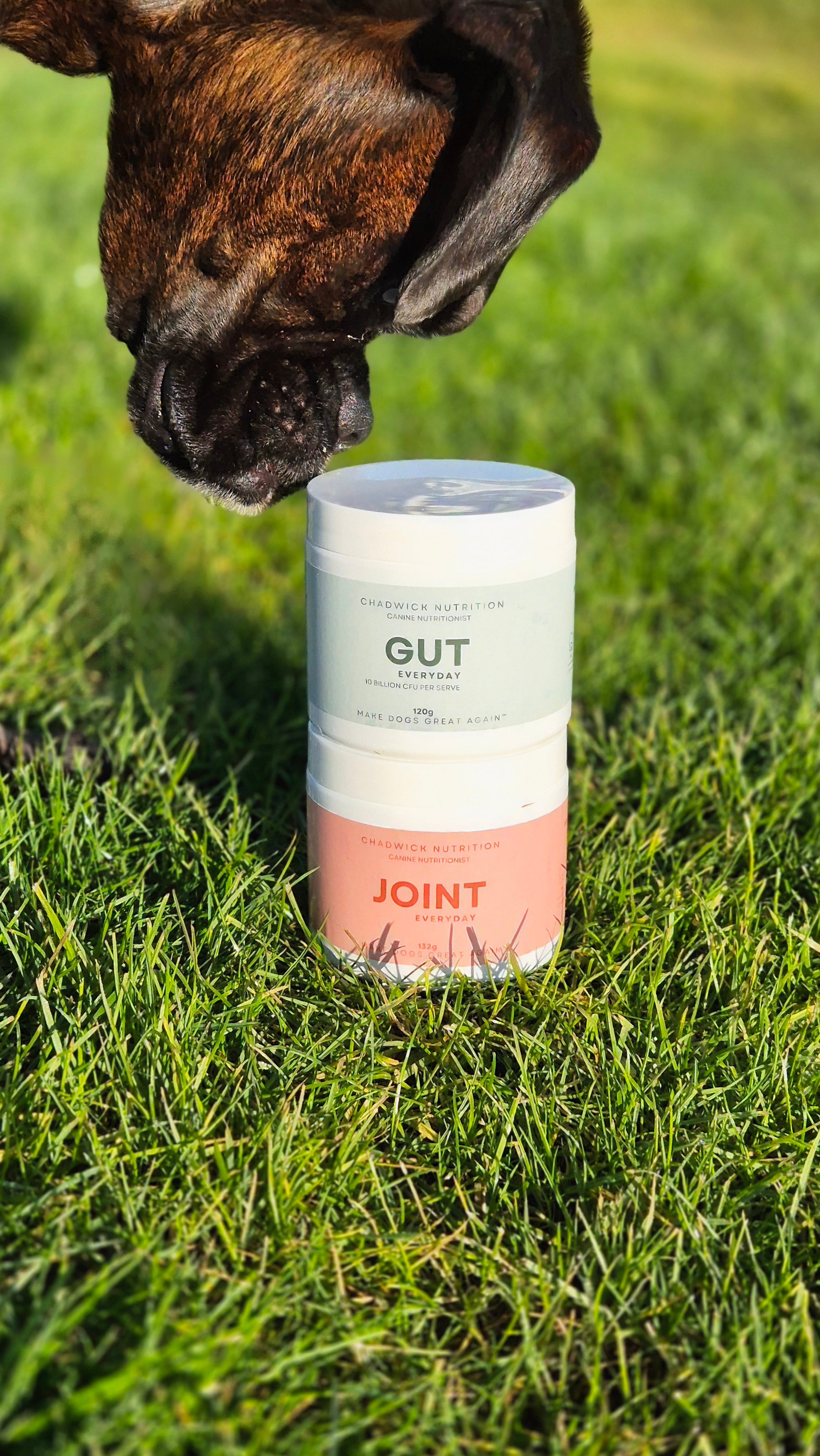 Everyday Health Bundle – Daily Gut and Joint Support for Dogs.