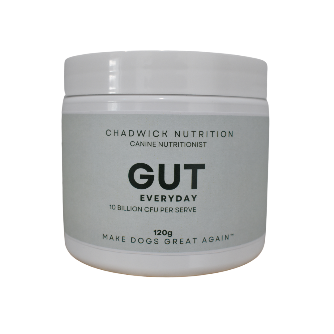 Gut Everyday - Daily Gut Health Support for Dogs.