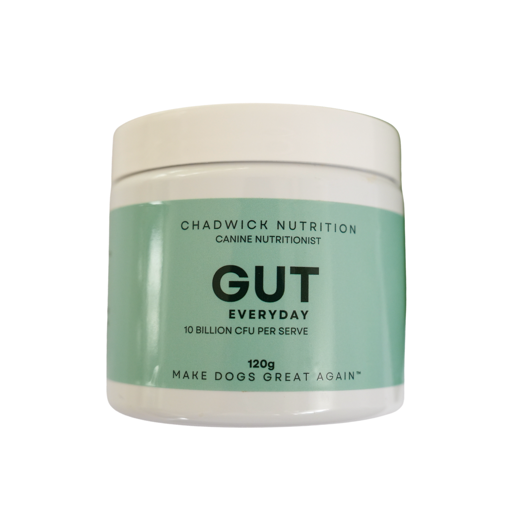 Gut Everyday — Daily Microbiome Support For Dogs.