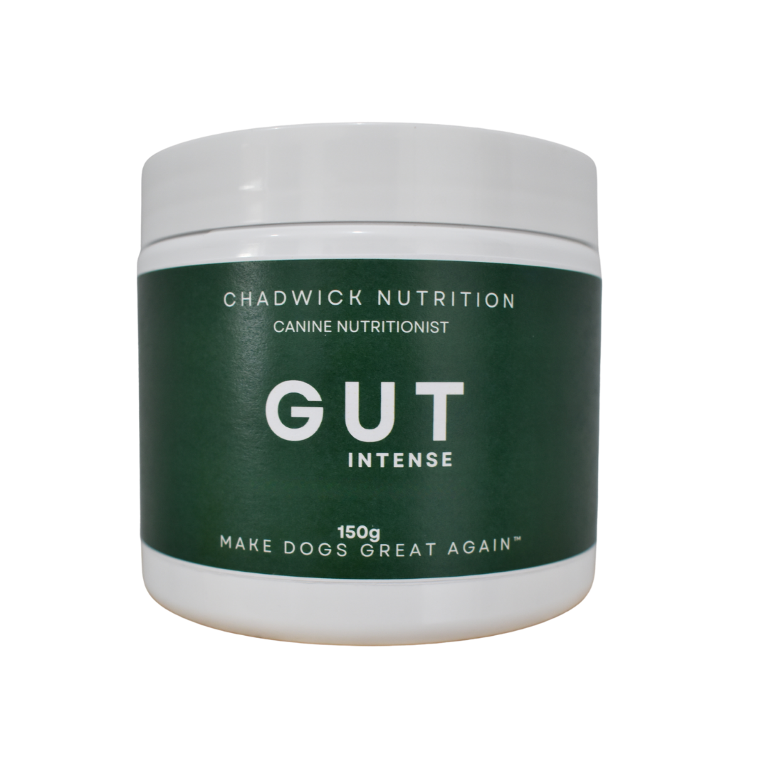 Gut Intense - Advanced Gut Health Support for Dogs.