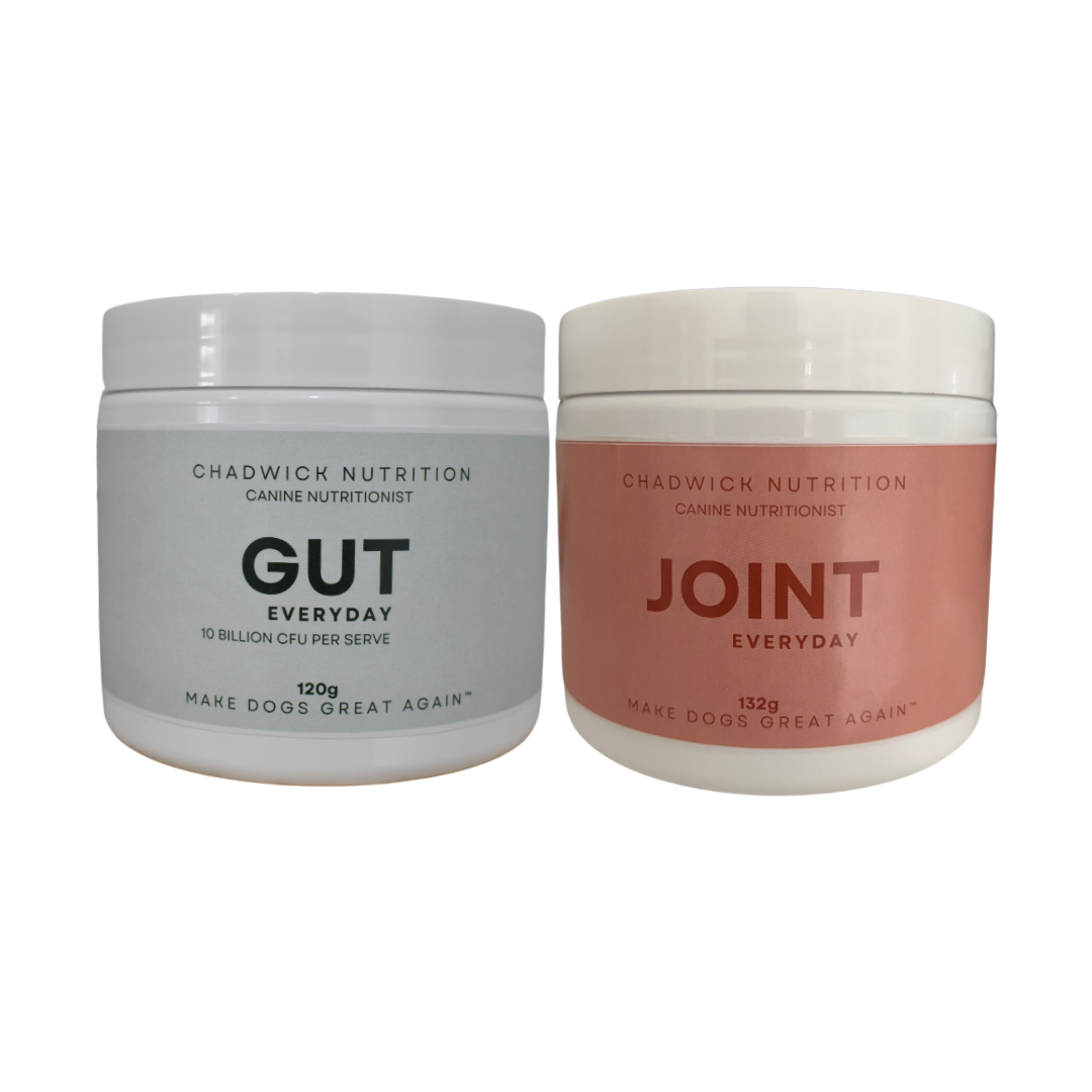 Everyday Health Bundle – Daily Gut and Joint Support for Dogs.