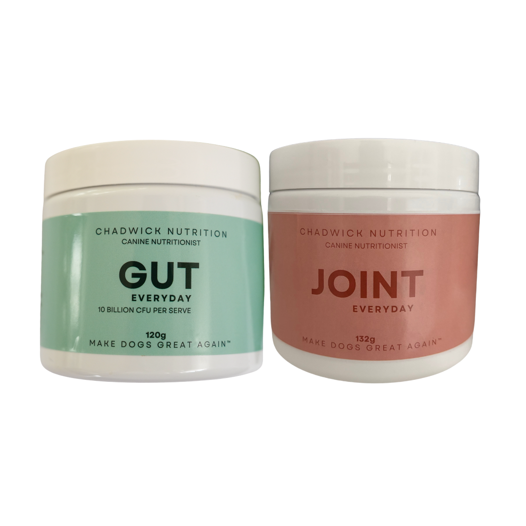 Everyday Health Bundle – Daily Gut and Joint Support for Dogs.