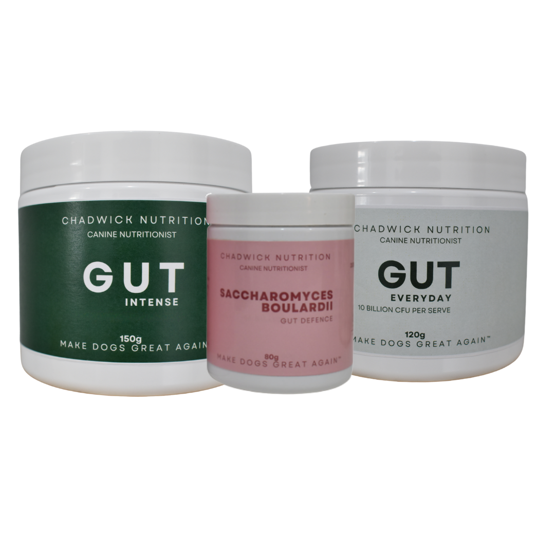 Ultimate Gut Bundle - The Complete Gut Health System for Real Results.