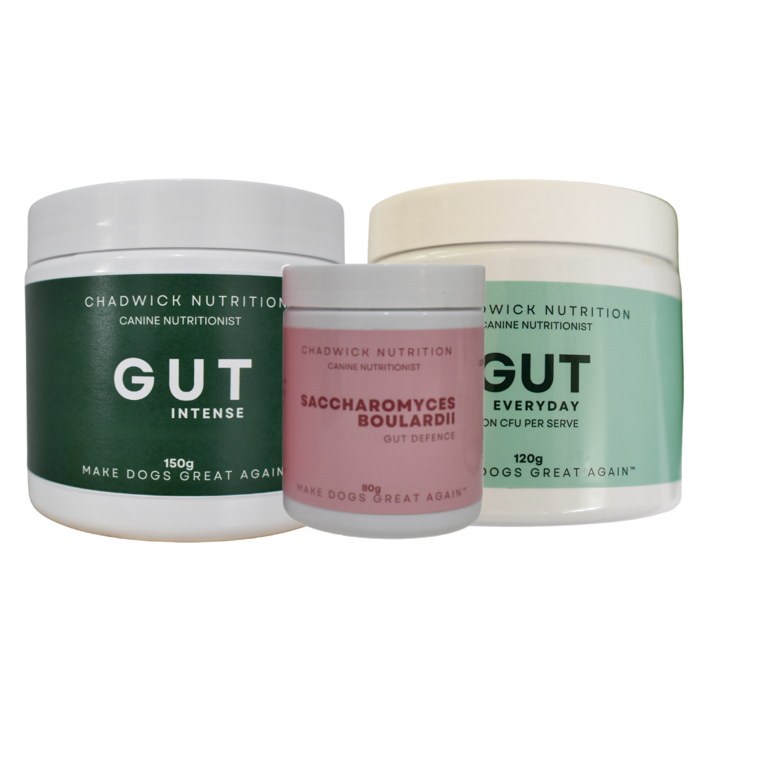 The 3-Step Gut System For Dogs.