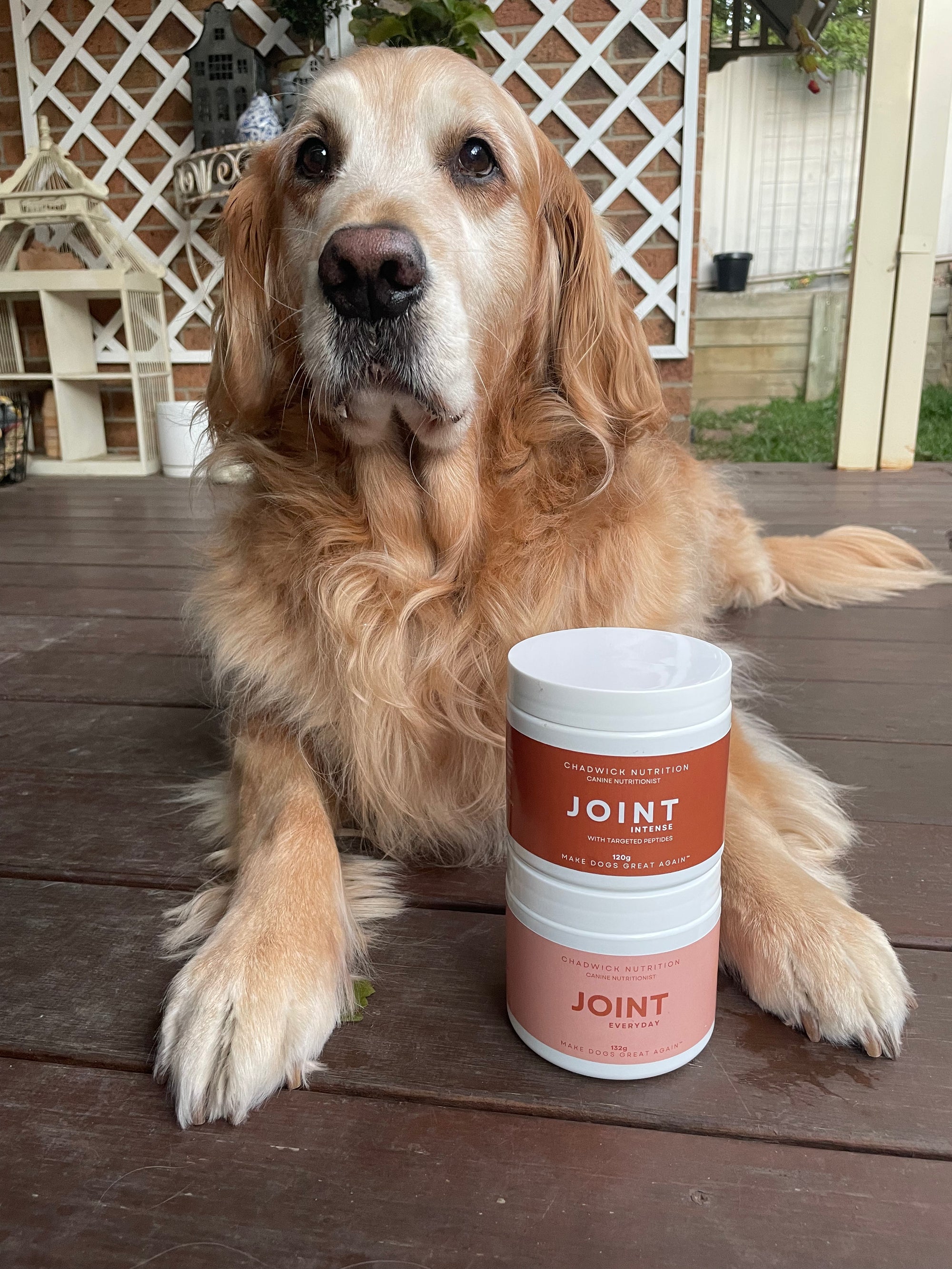 Joint Health Bundle - Repair, Support, and Maintain Healthy Joints.