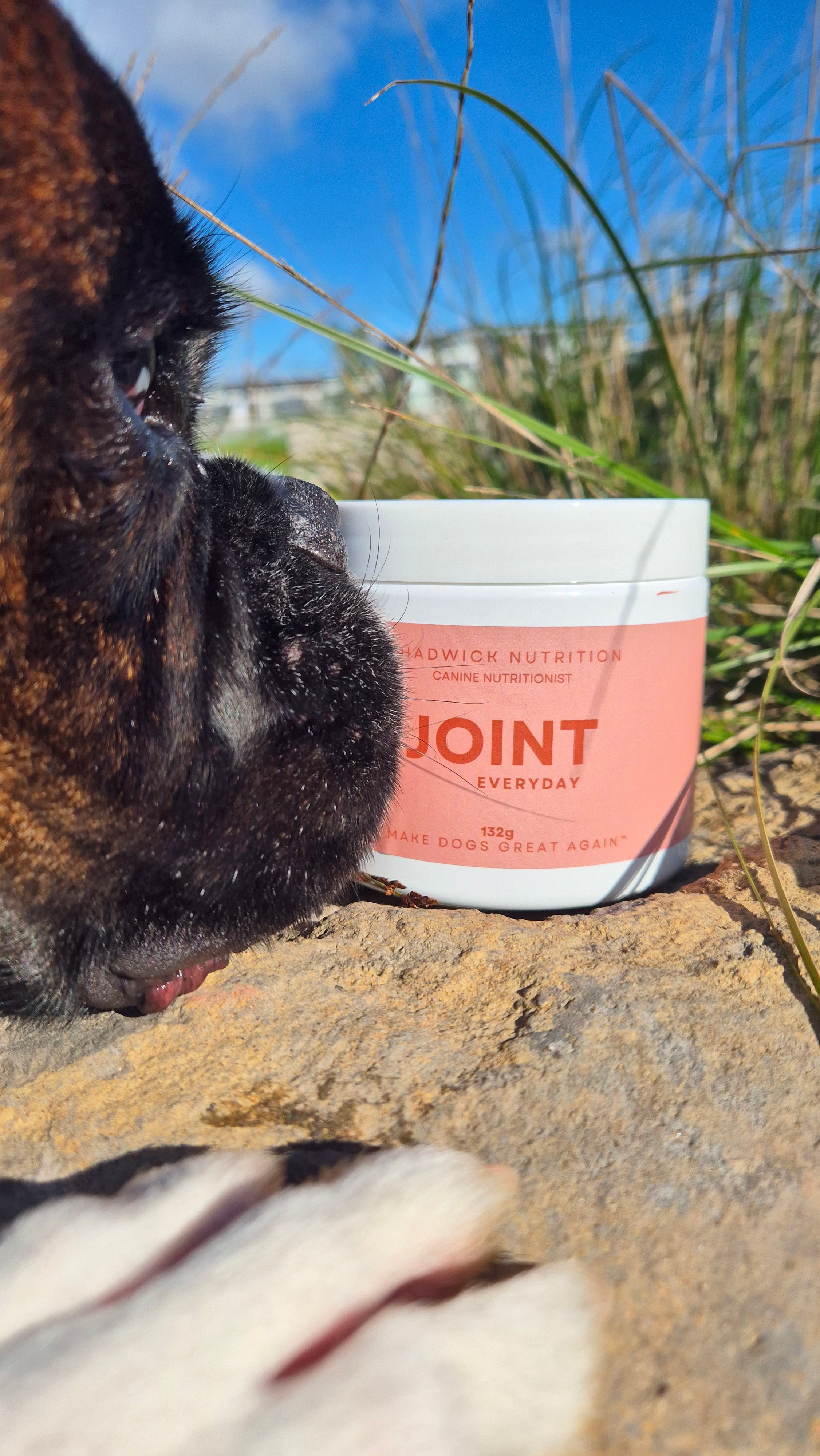 Joint Everyday - Daily Joint Health Support for Dogs.
