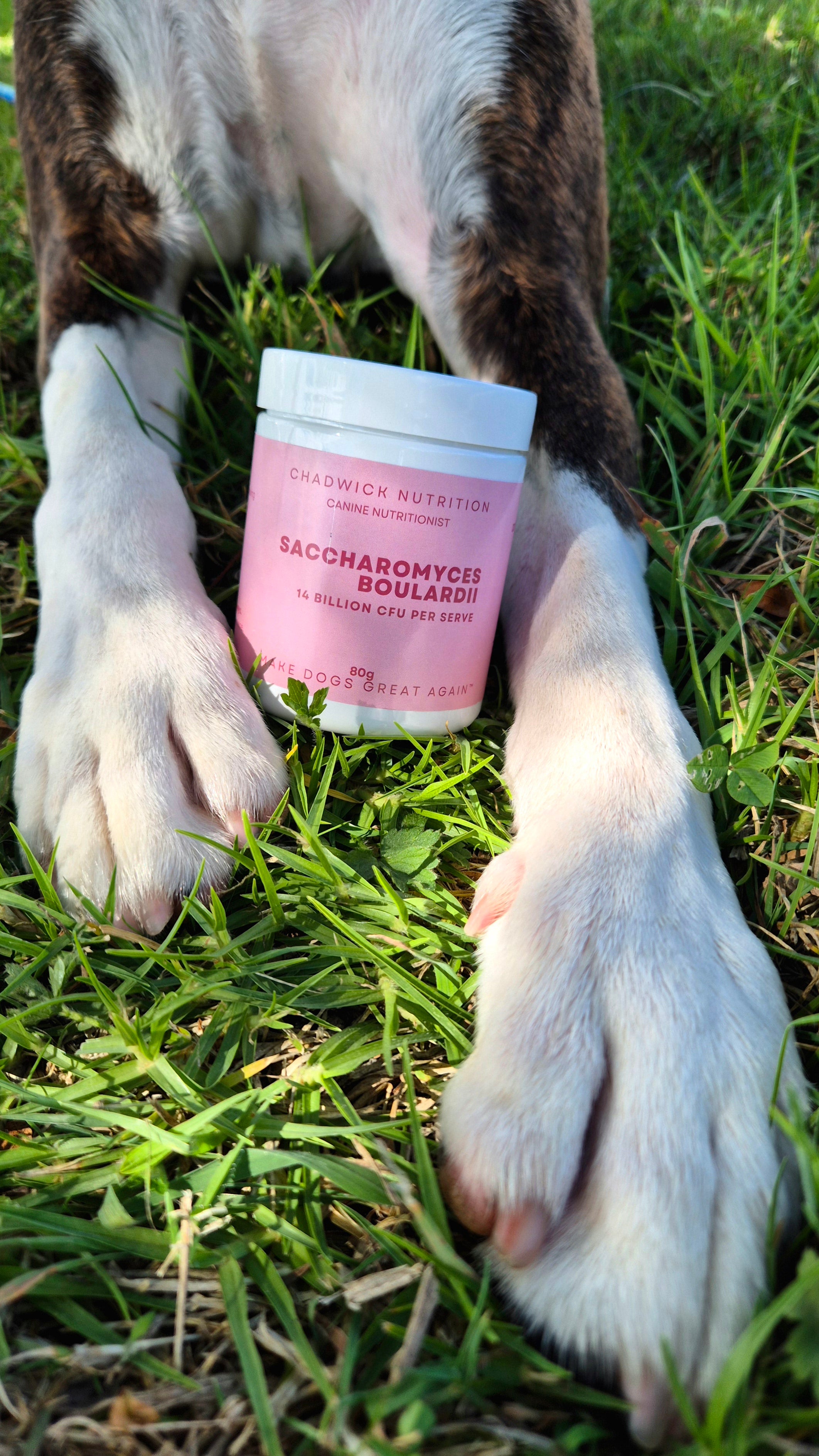 Saccharomyces boulardii - Gut Defence.