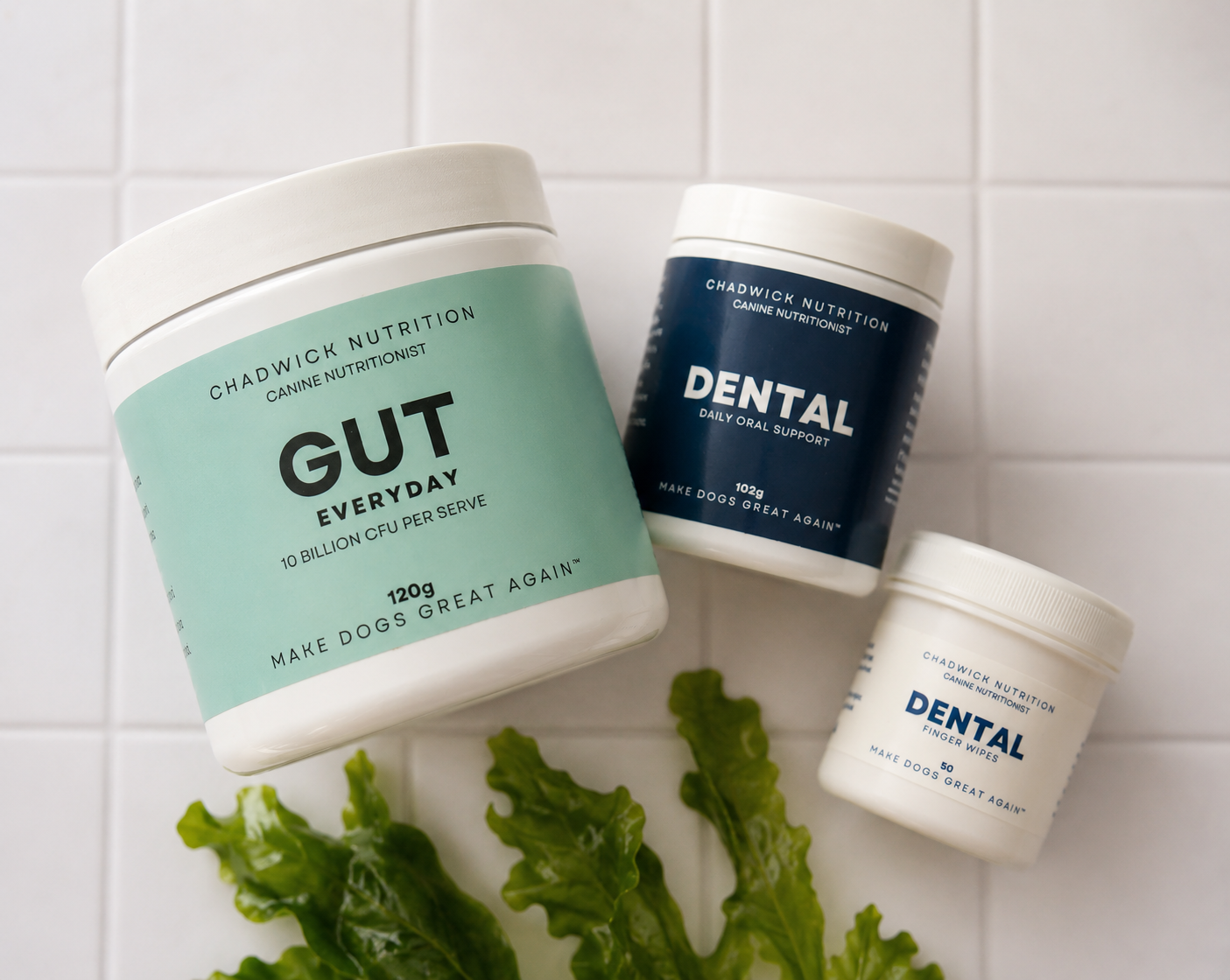 The Complete Dental System for Dogs.