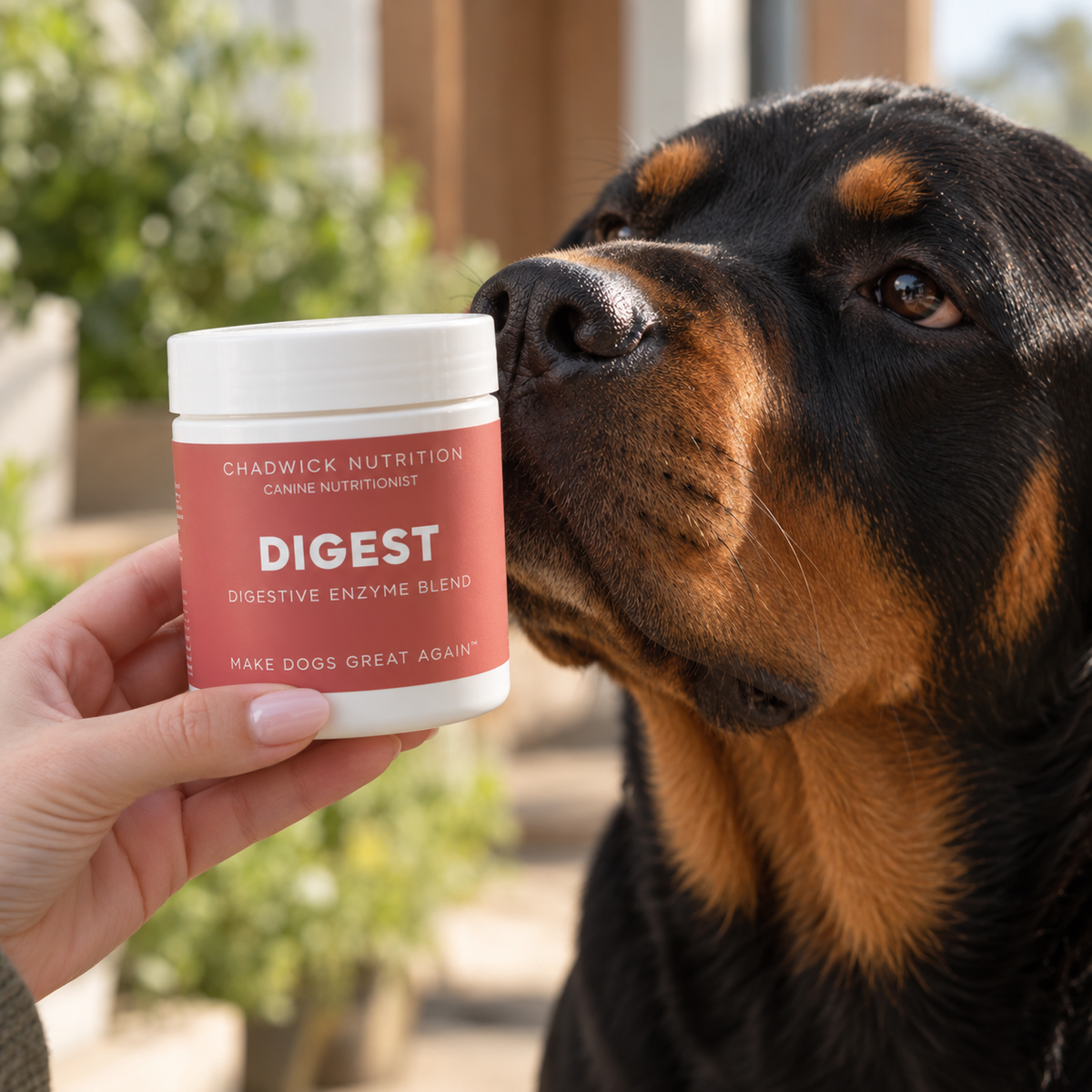 Digest - Digestive Enzyme Blend