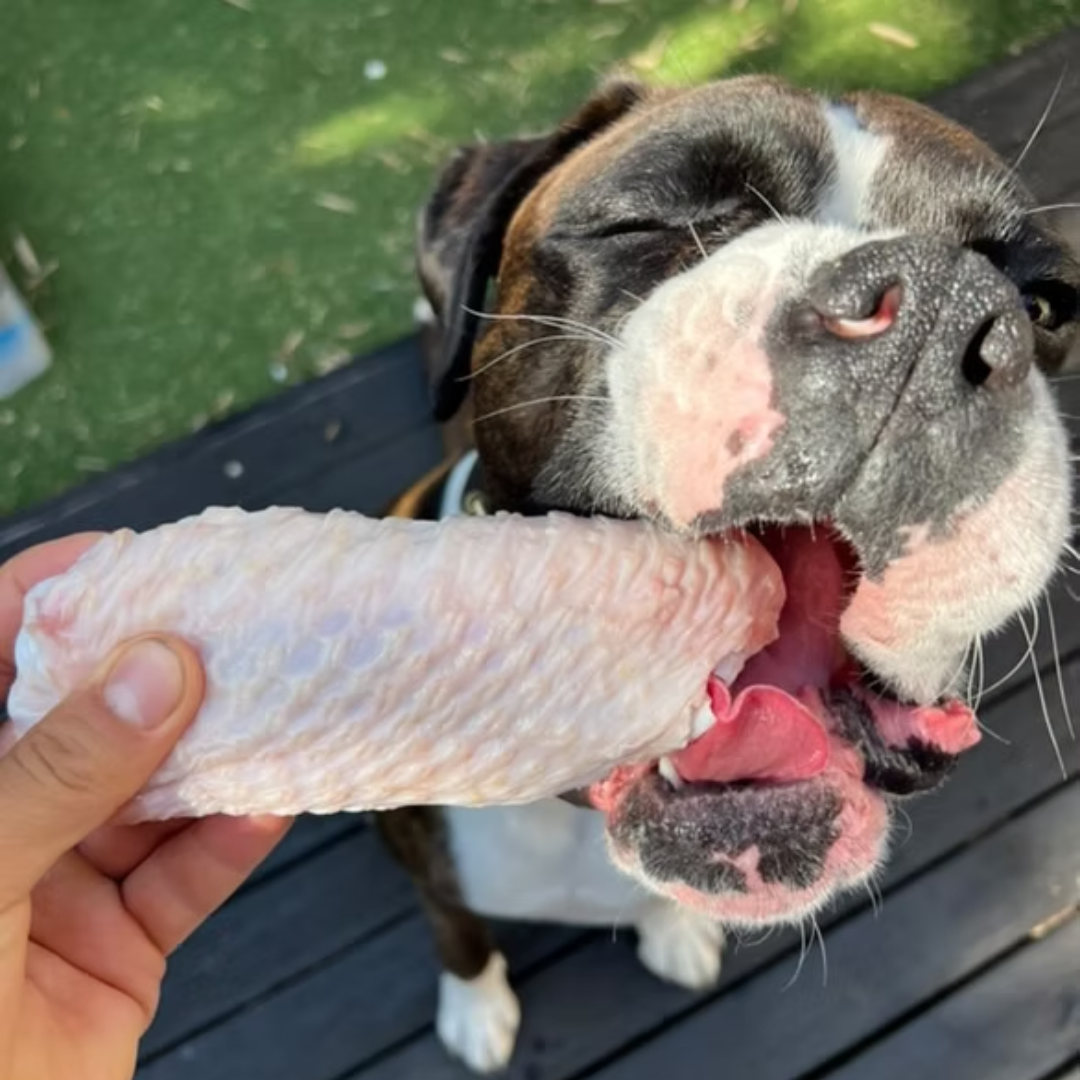 In-Home Nutrition & Health Consultation