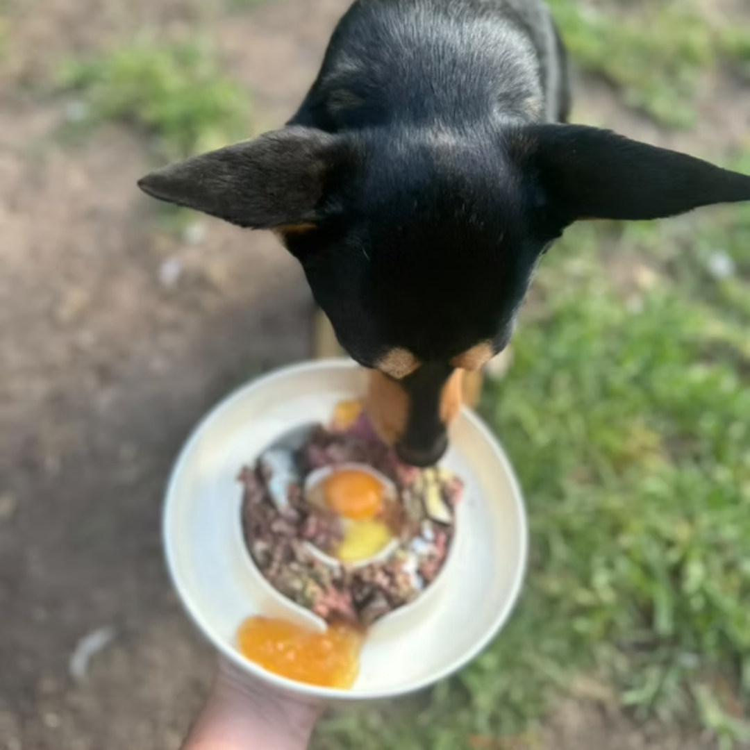 Targeted Nutrition Consultation