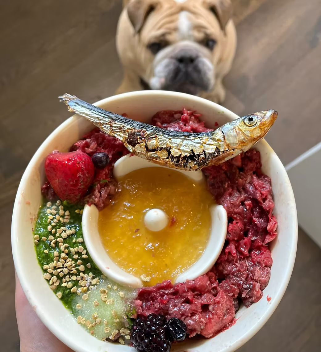 Follow-Up Consultation