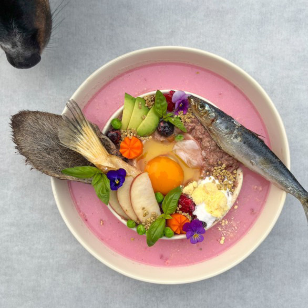 Freeze Dried Bovine Colostrum - Immune Support.