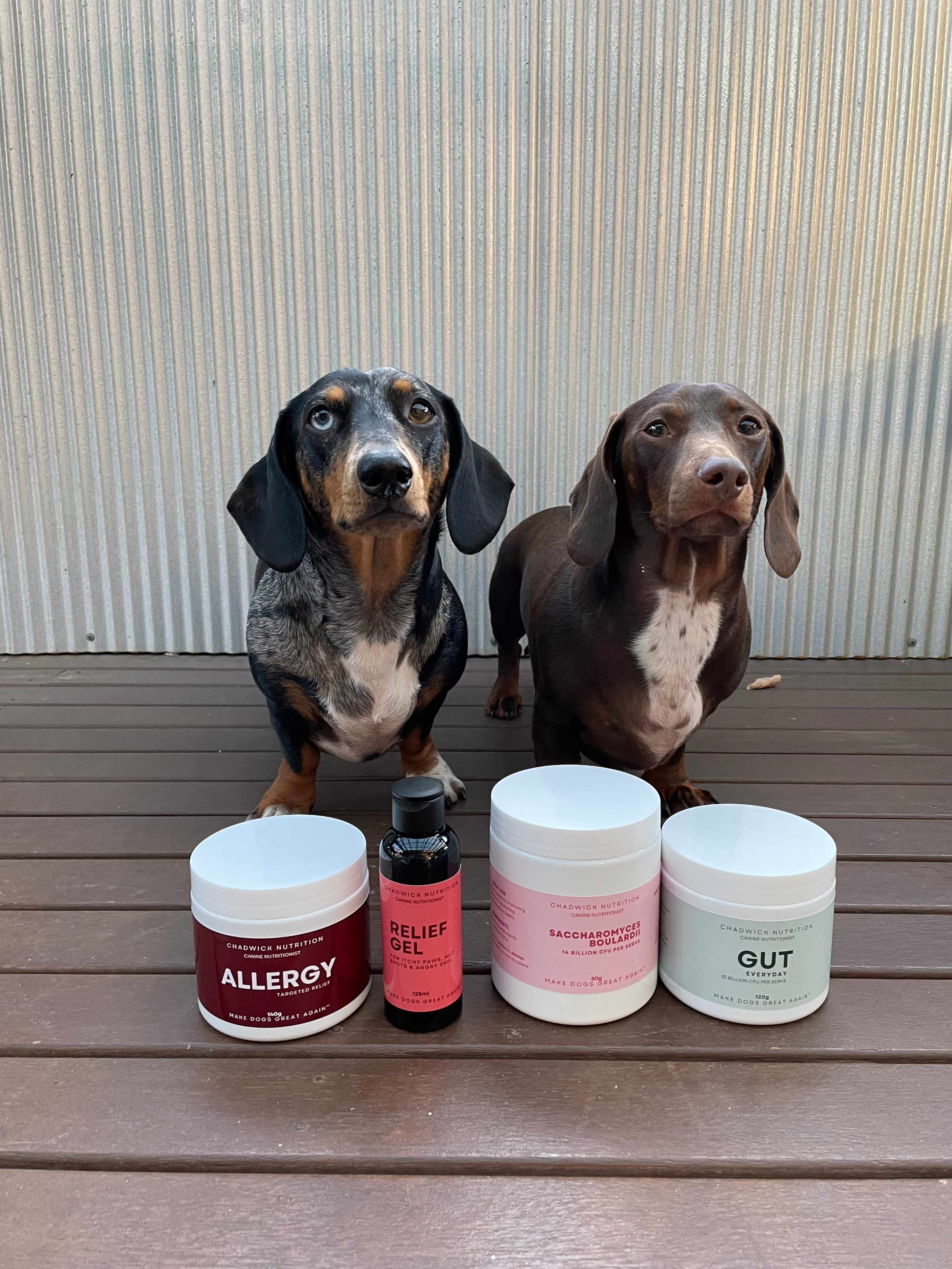 Allergy + Relief Gel - Internal and external allergy support for Dogs.