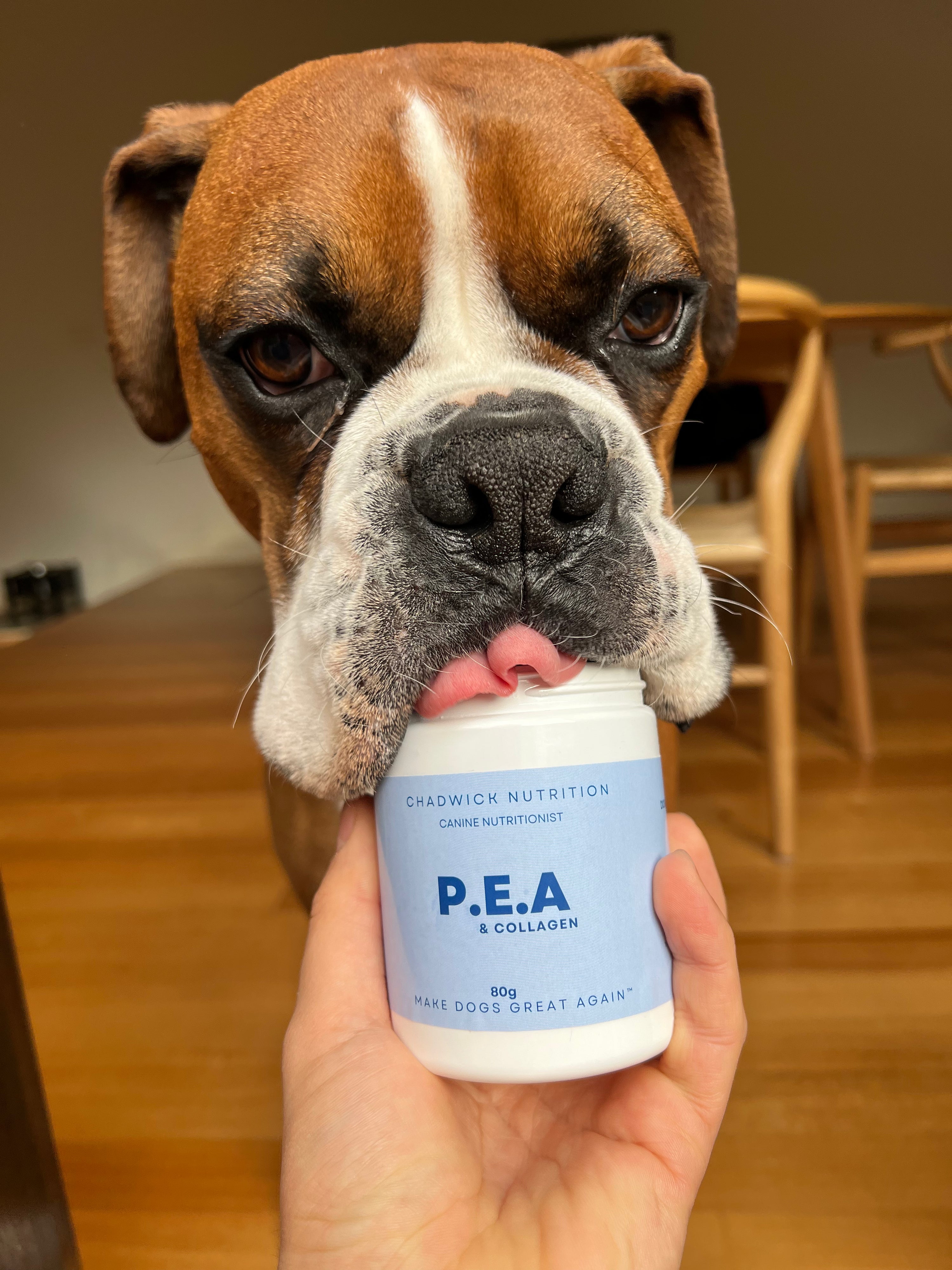 P.E.A & Collagen - Anti-inflammatory.