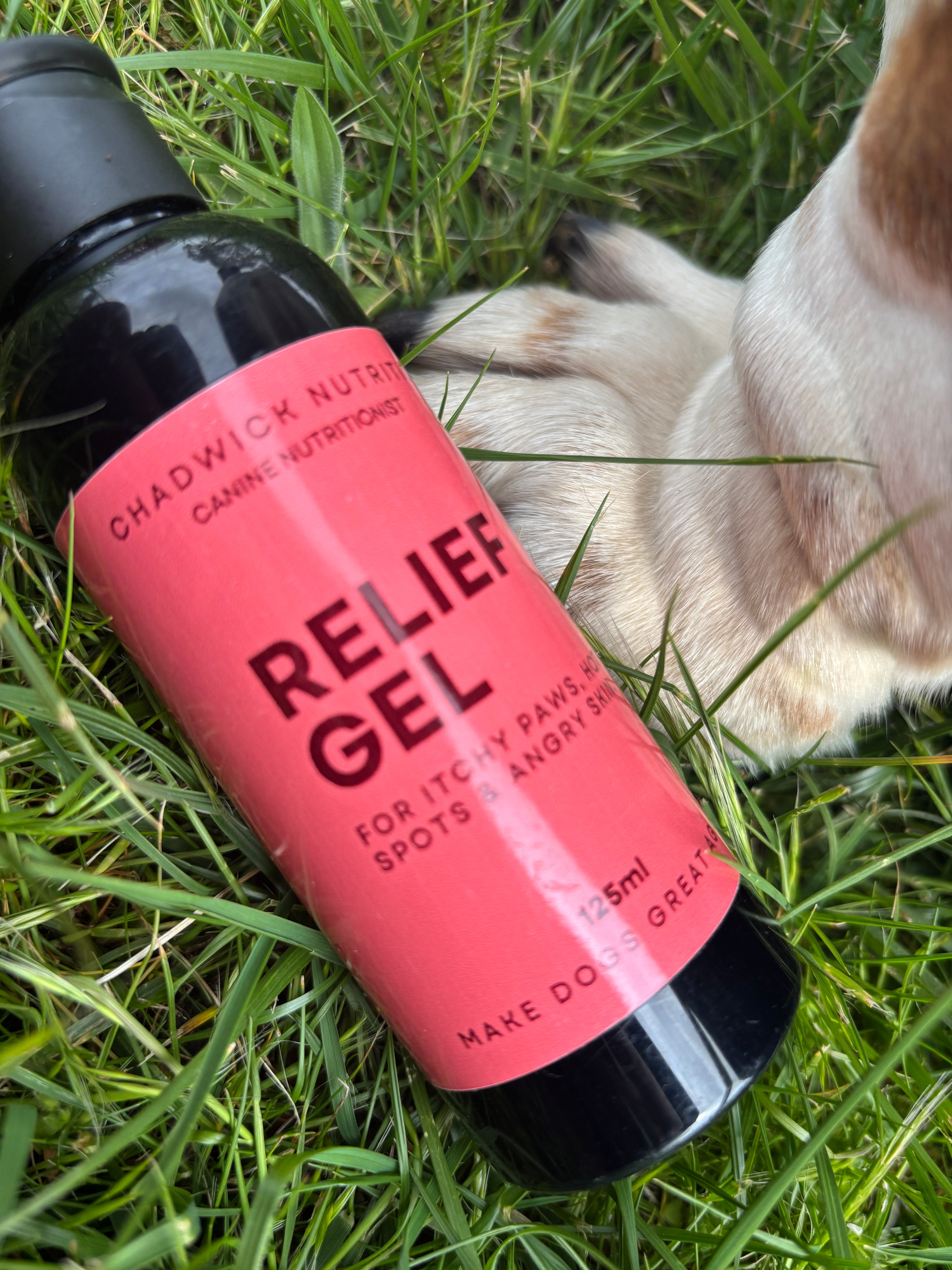 Allergy + Relief Gel - Internal and external allergy support for Dogs.