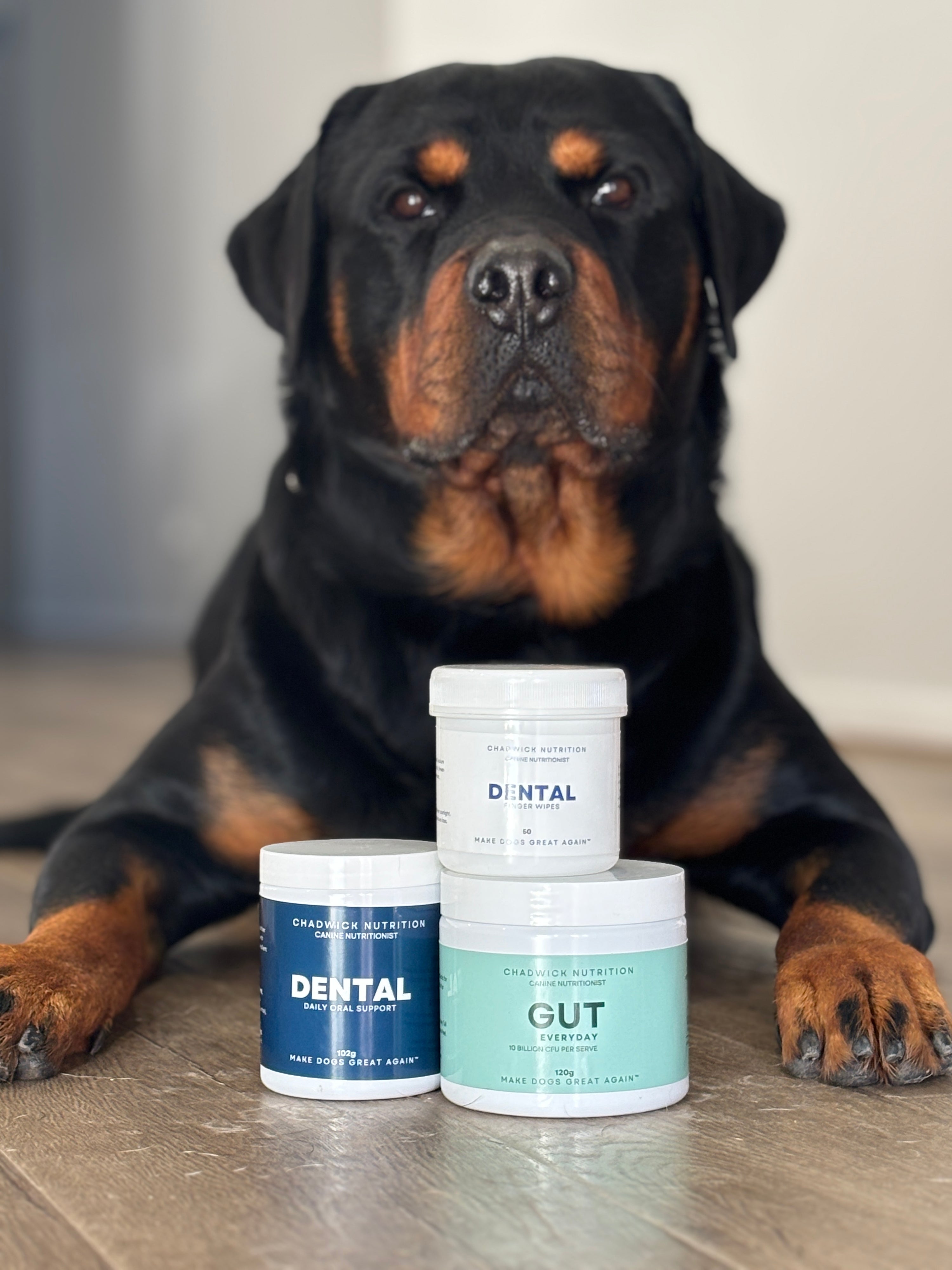 The Complete Dental System for Dogs.