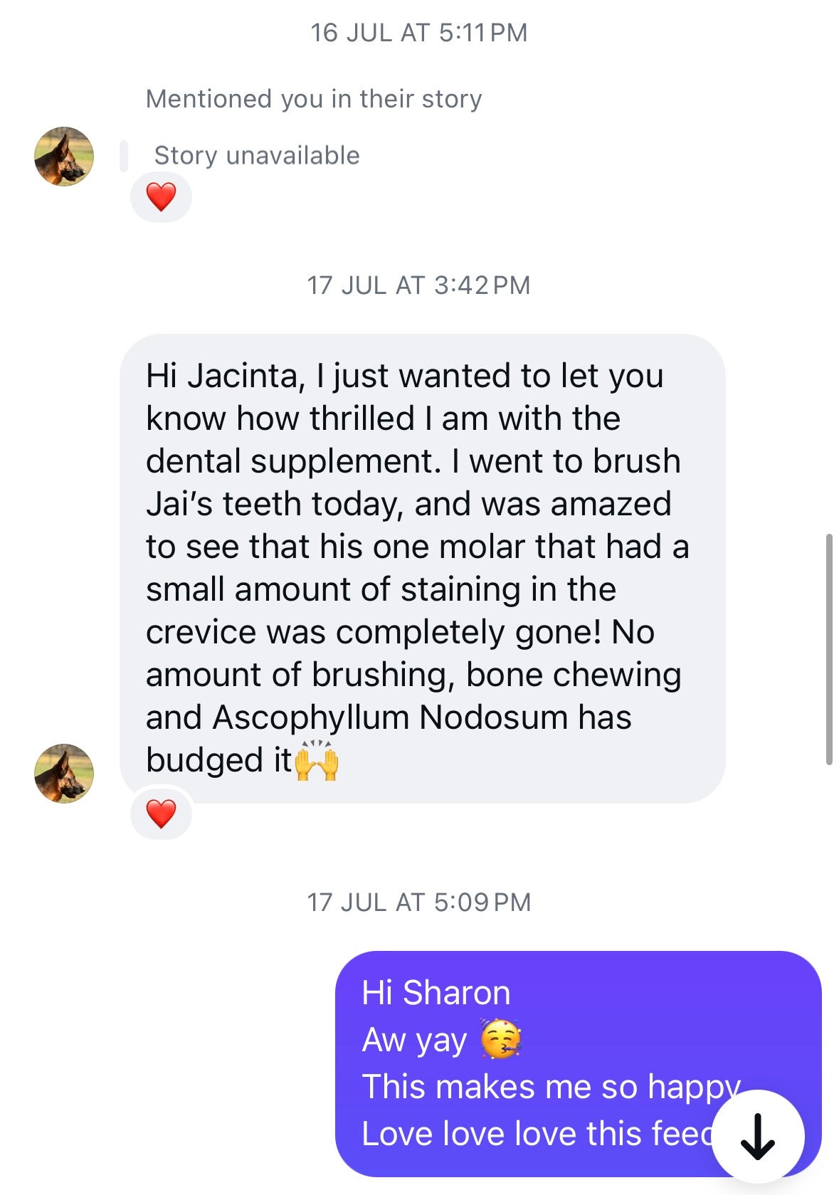 The Complete Dental System for Dogs.