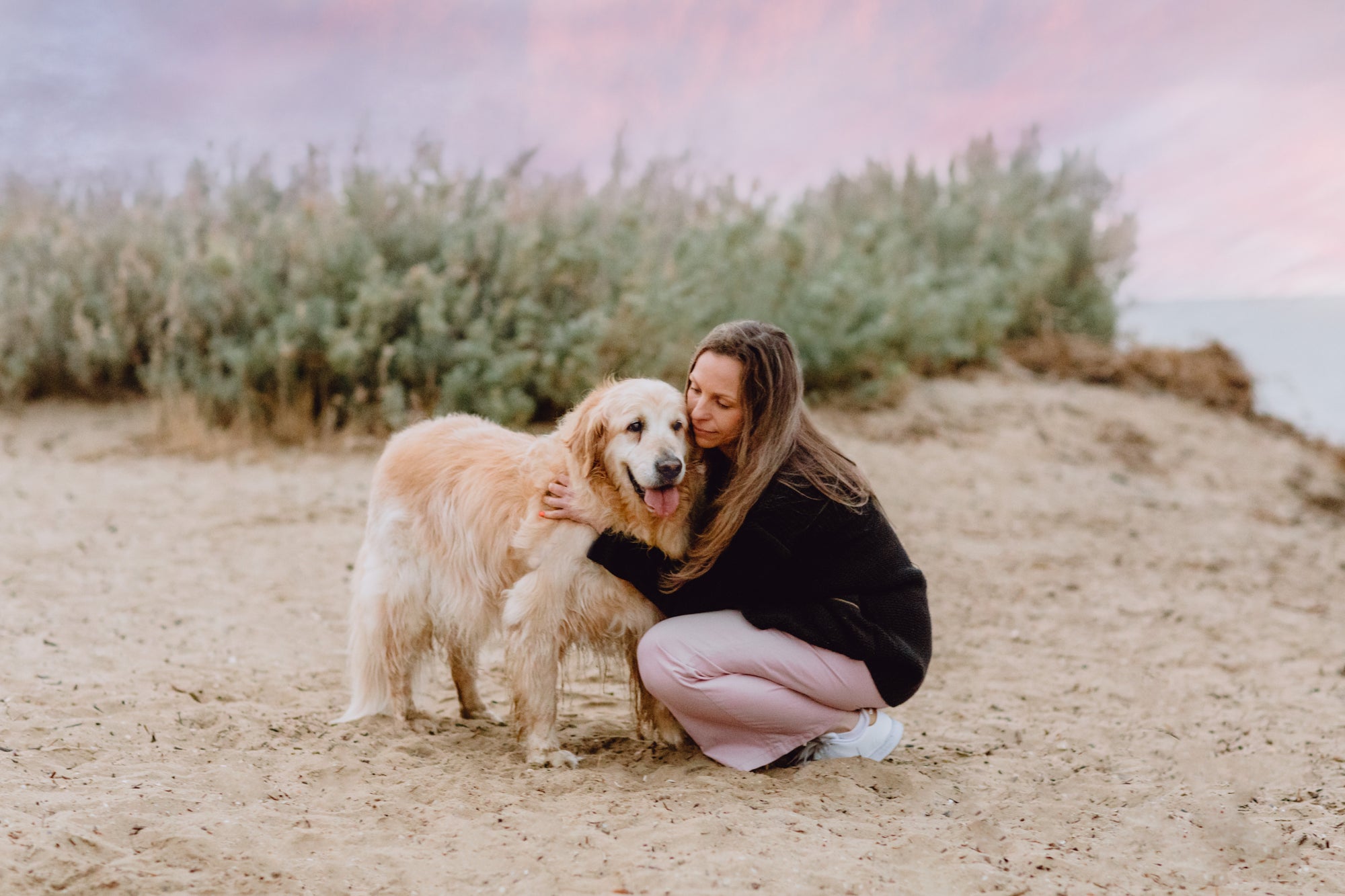Woman hugging a golden retriever on a sandy beach at sunset with bushes in the background