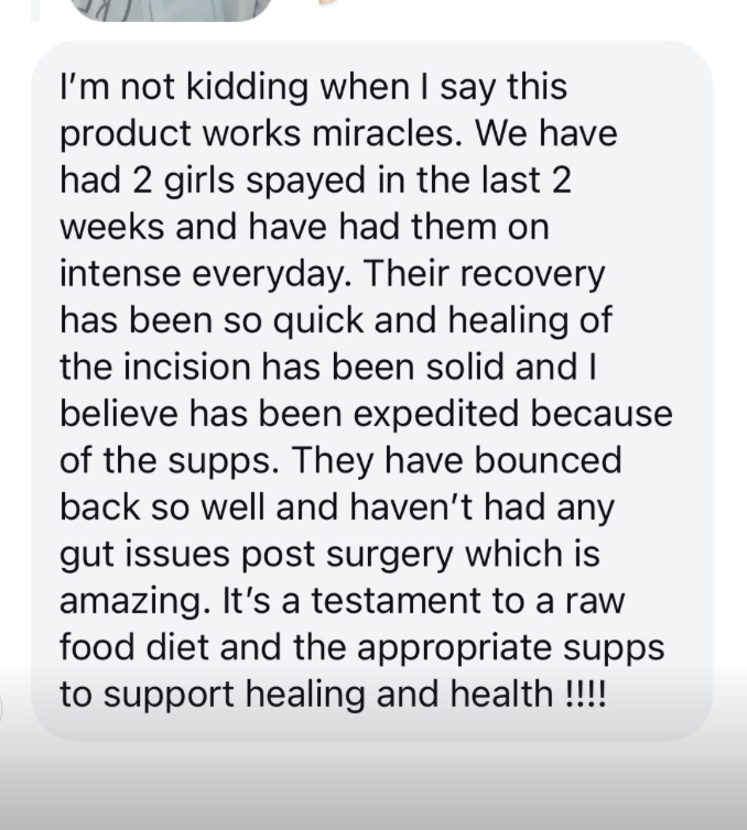 Gut Intense - Advanced Gut Health Support for Dogs.