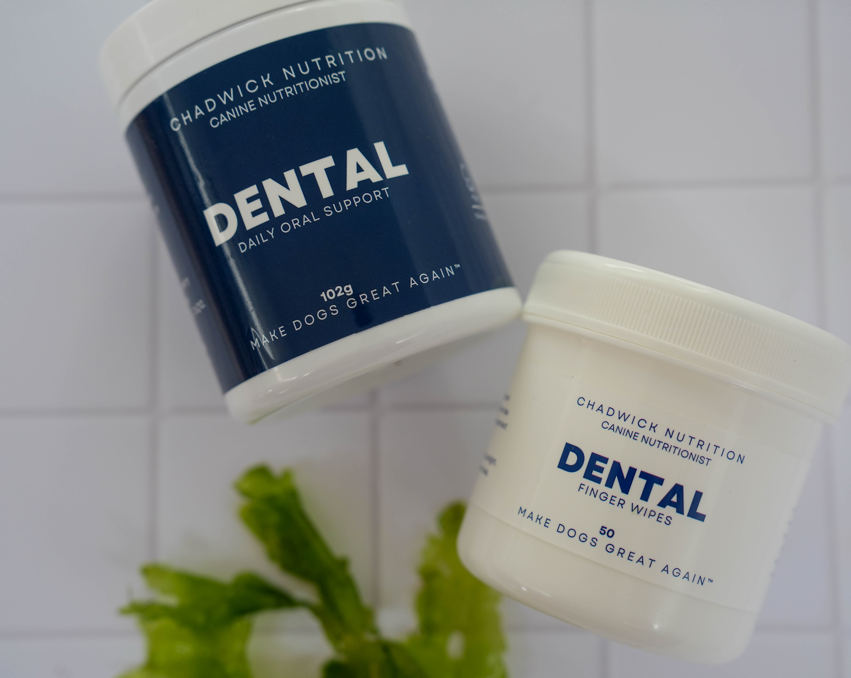 Dental - Daily support for healthier teeth, gums and fresher breath.