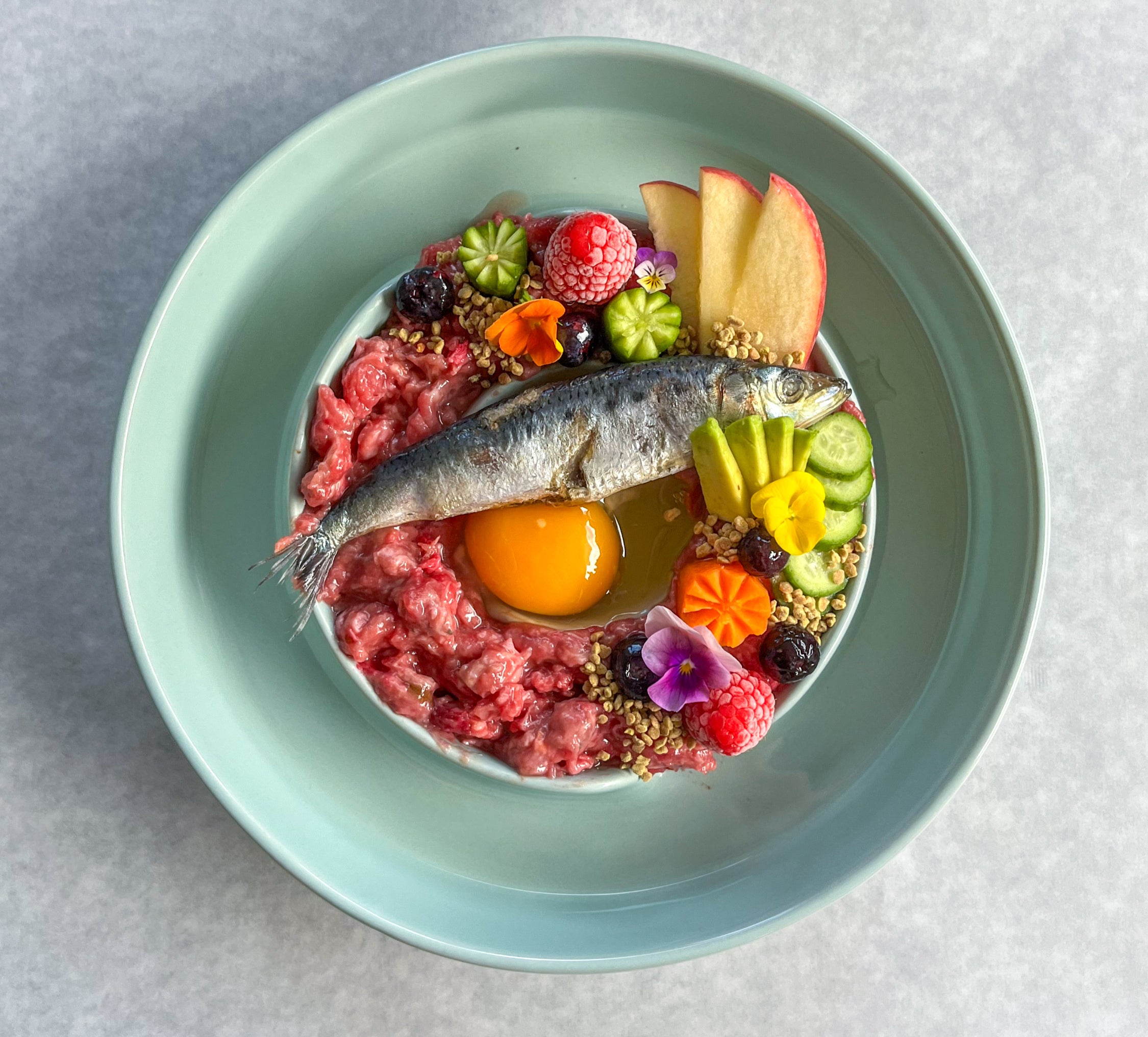 Gut Everyday - Daily Gut Health Support for Dogs.