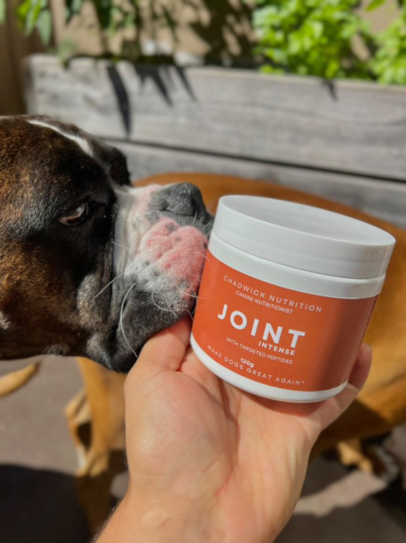 Joint Intense – Advanced Support for Joint & Tissue Repair.