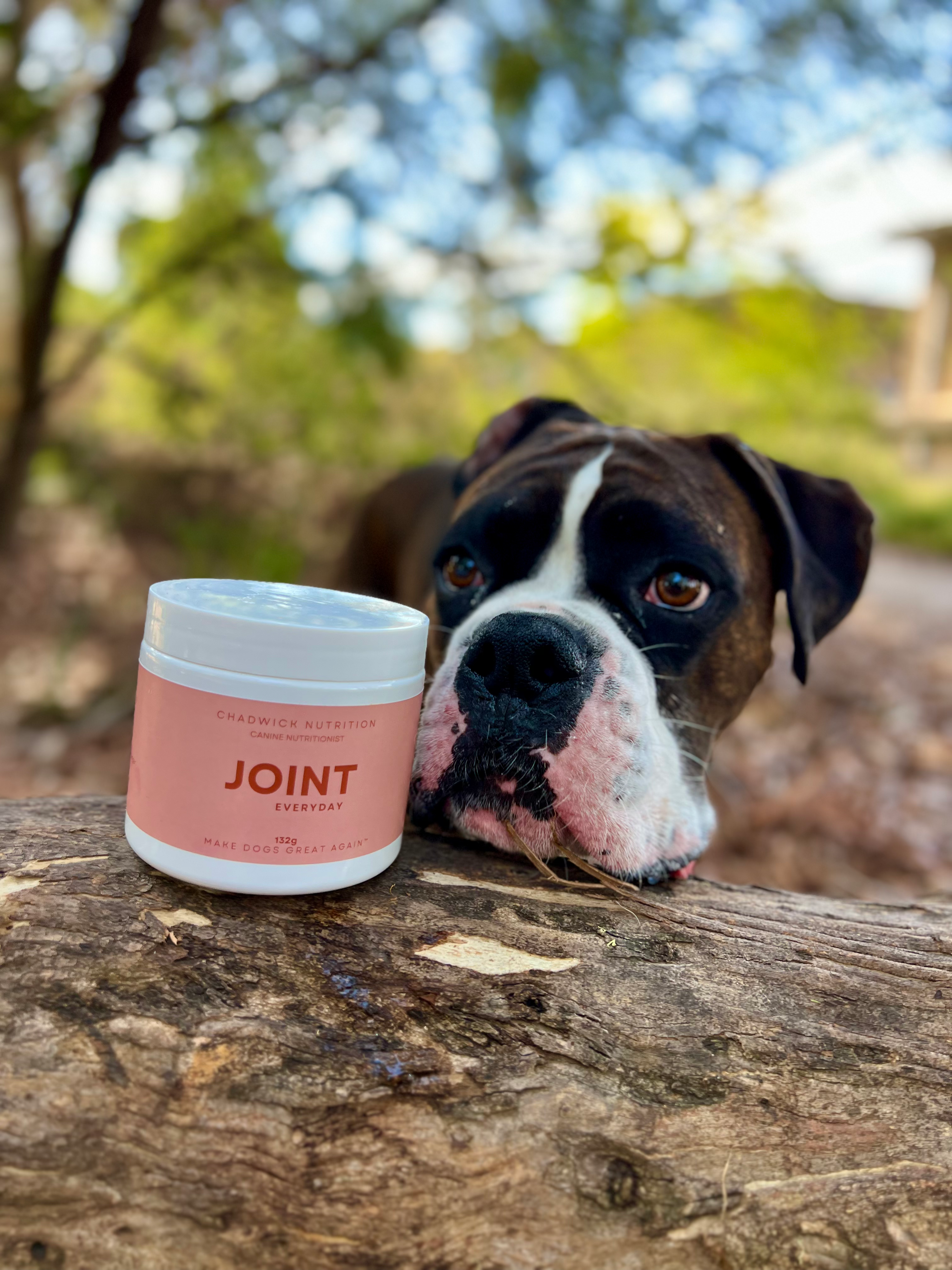 Joint Everyday - Daily Joint Health Support for Dogs.