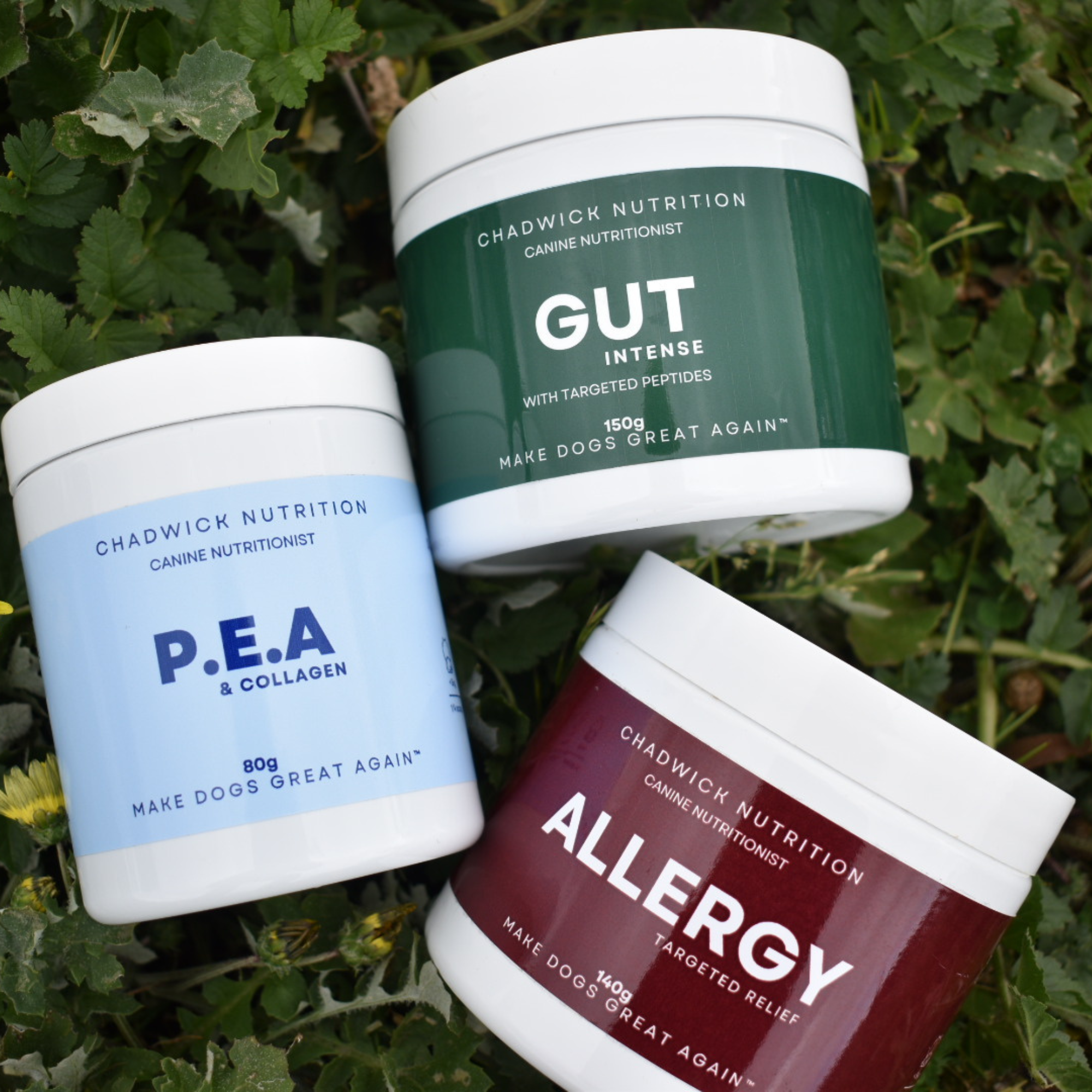 Ultimate Allergy Bundle  - Relief for itchy, inflamed, allergy prone dogs.