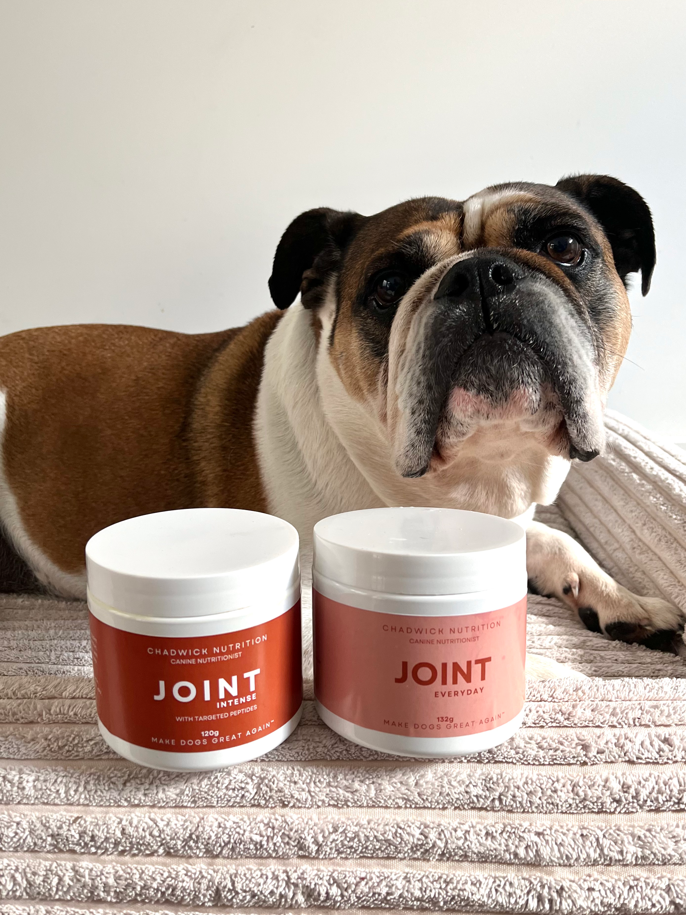 Joint Everyday - Daily Joint Health Support for Dogs.