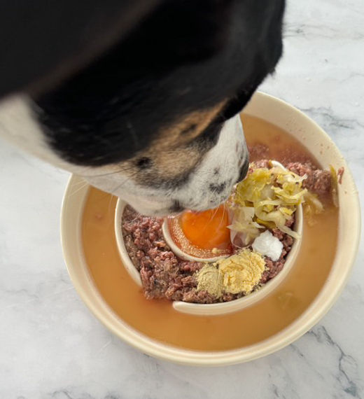 New to Fresh Feeding Consultation