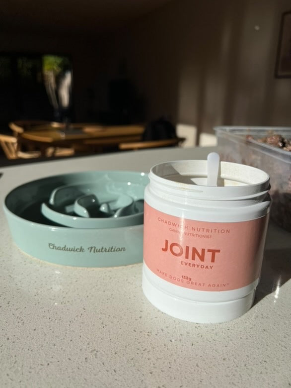 Everyday Health Bundle – Daily Gut and Joint Support for Dogs.