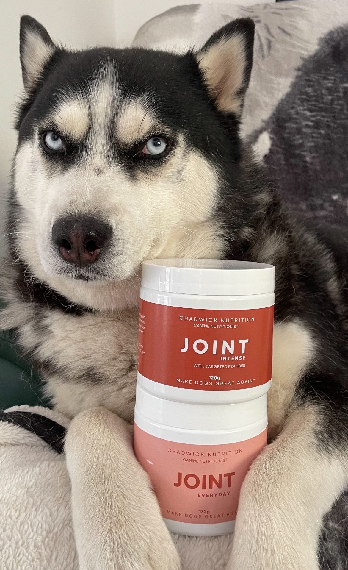 Joint Health Bundle - Repair, Support, and Maintain Healthy Joints.